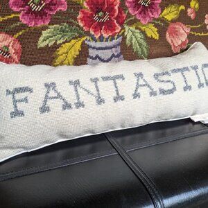 Discontinued PBTeen The Emily & Meritt "Fantastic" Small long Pillow